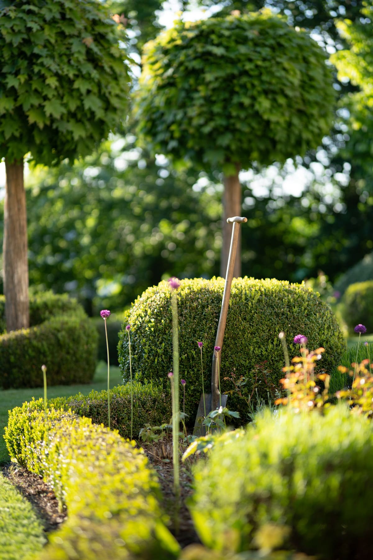 A neatly manicured garden with trimmed hedges and a spade resting among flowers